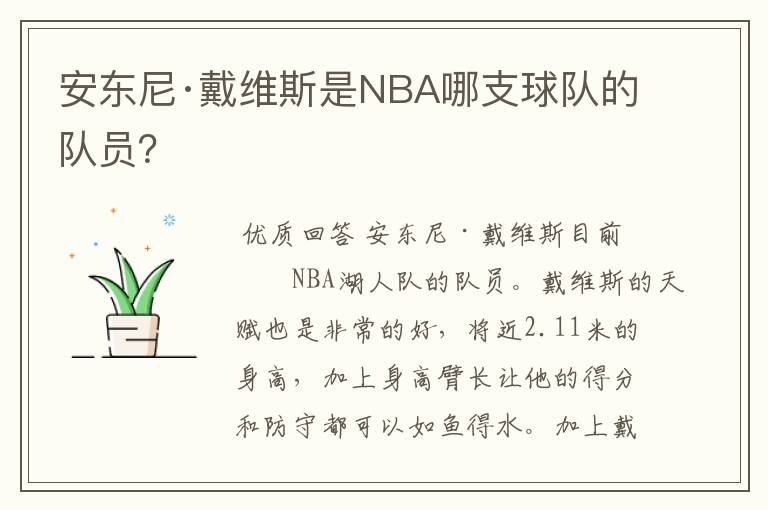 安东尼·戴维斯是NBA哪支球队的队员？