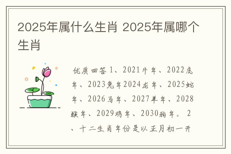 2025年属什么生肖 2025年属哪个生肖