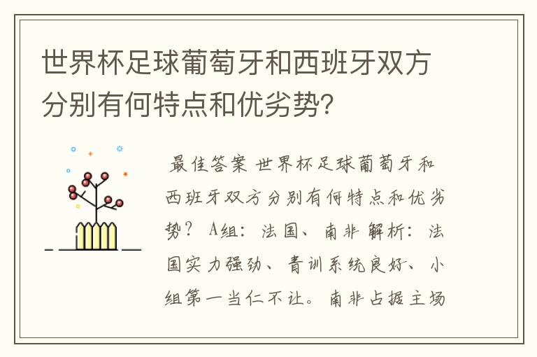 世界杯足球葡萄牙和西班牙双方分别有何特点和优劣势？