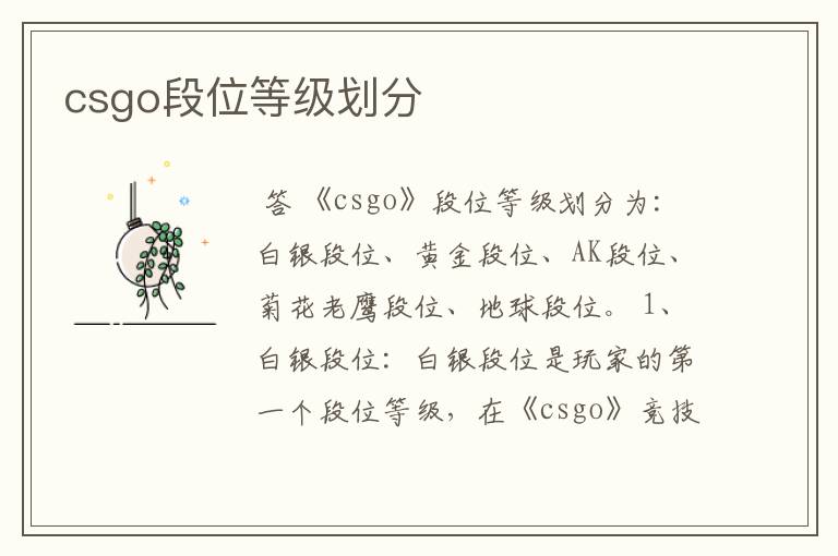 csgo段位等级划分