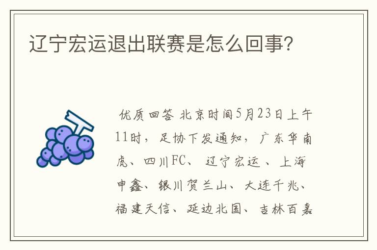 辽宁宏运退出联赛是怎么回事？