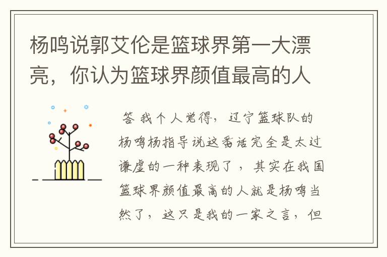 杨鸣说郭艾伦是篮球界第一大漂亮，你认为篮球界颜值最高的人是谁？