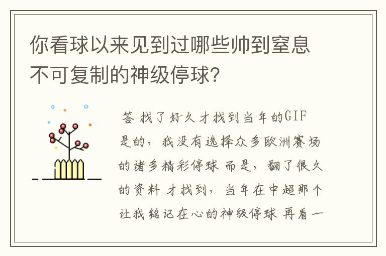 你看球以来见到过哪些帅到窒息不可复制的神级停球？