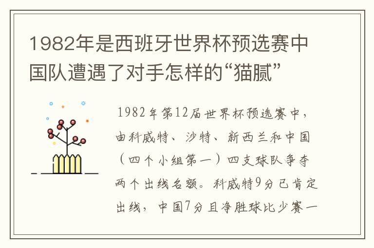 1982年是西班牙世界杯预选赛中国队遭遇了对手怎样的“猫腻”而无缘出线：