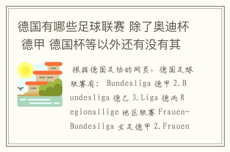 德国有哪些足球联赛 除了奥迪杯 德甲 德国杯等以外还有没有其他的？