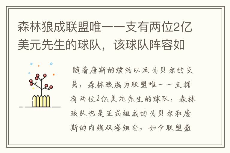 森林狼成联盟唯一一支有两位2亿美元先生的球队，该球队阵容如何？