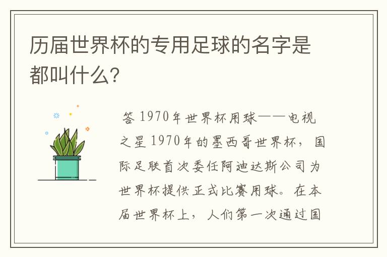 历届世界杯的专用足球的名字是都叫什么？