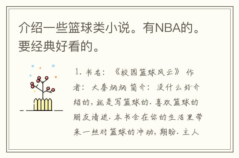 介绍一些篮球类小说。有NBA的。要经典好看的。