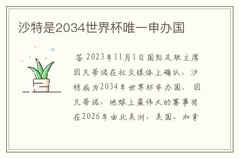 沙特是2034世界杯唯一申办国