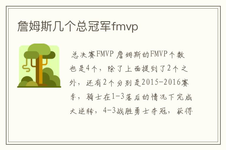 詹姆斯几个总冠军fmvp