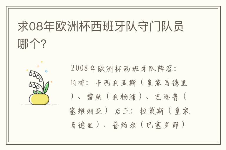 求08年欧洲杯西班牙队守门队员哪个？