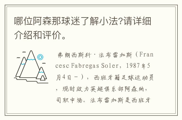 哪位阿森那球迷了解小法?请详细介绍和评价。