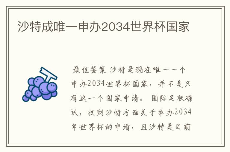 沙特成唯一申办2034世界杯国家