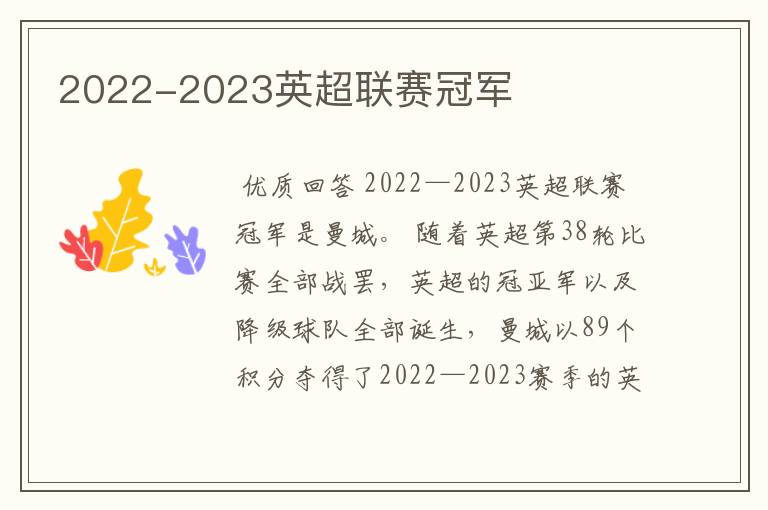 2022-2023英超联赛冠军