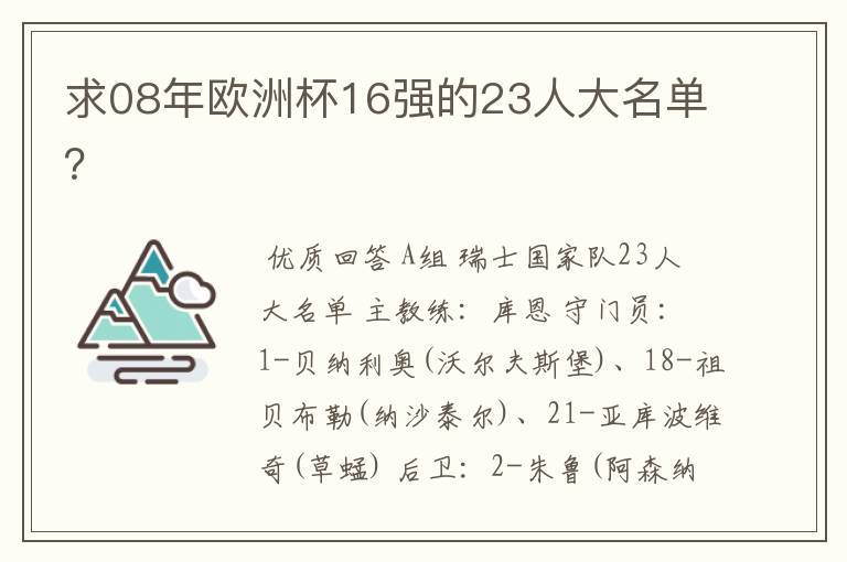 求08年欧洲杯16强的23人大名单？