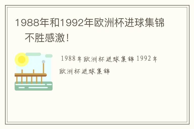 1988年和1992年欧洲杯进球集锦   不胜感激！