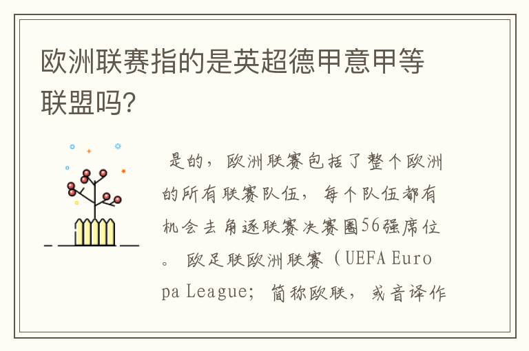 欧洲联赛指的是英超德甲意甲等联盟吗？