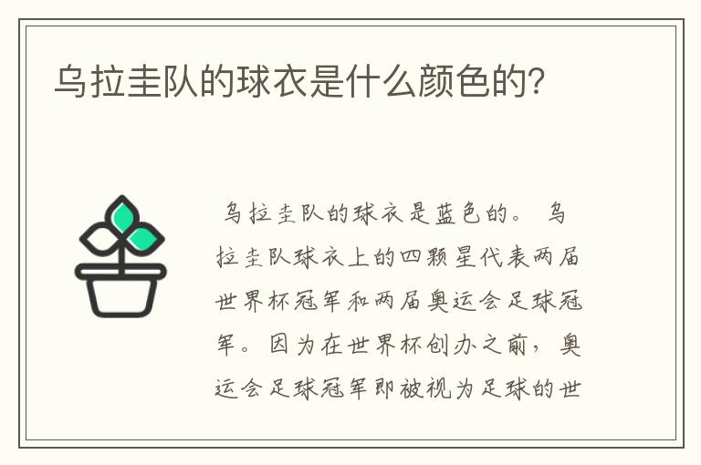 乌拉圭队的球衣是什么颜色的？