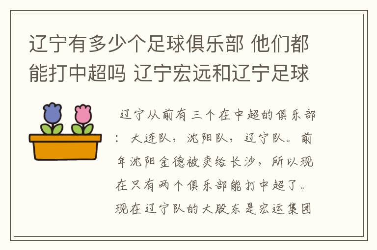 辽宁有多少个足球俱乐部 他们都能打中超吗 辽宁宏远和辽宁足球俱乐部是什么啊