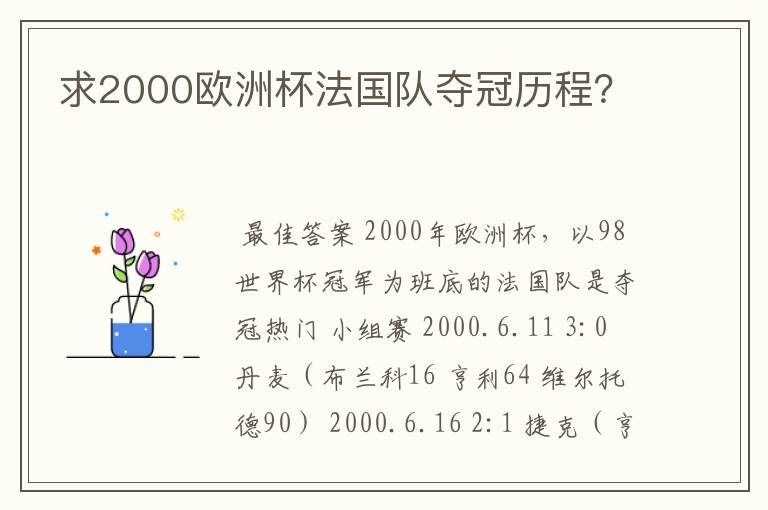 求2000欧洲杯法国队夺冠历程？