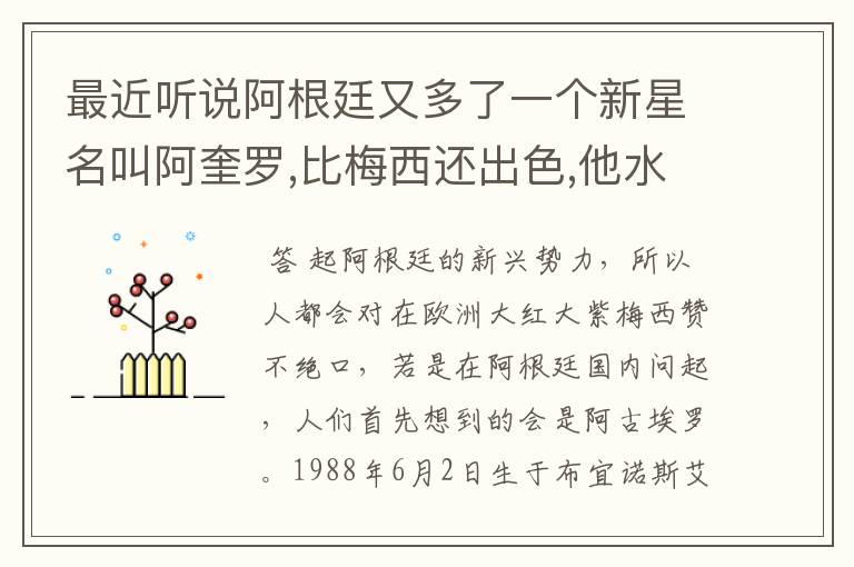 最近听说阿根廷又多了一个新星名叫阿奎罗,比梅西还出色,他水平怎样?