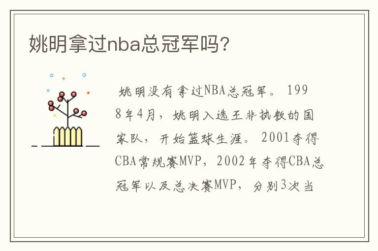 姚明拿过nba总冠军吗?