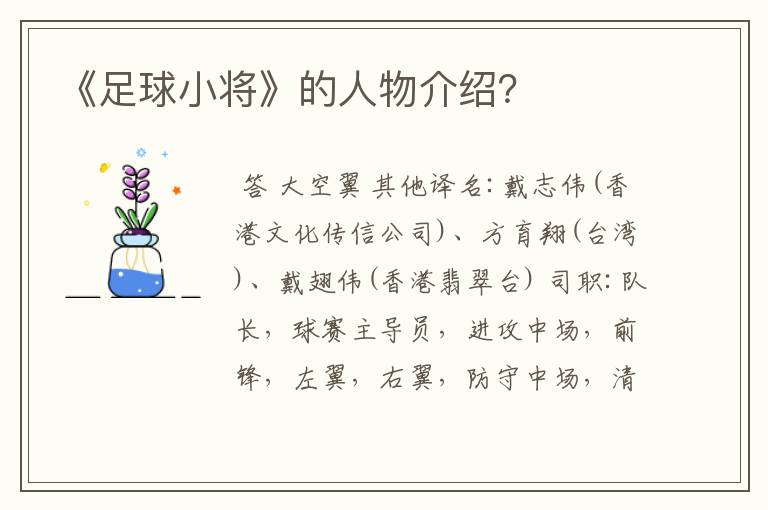 《足球小将》的人物介绍？