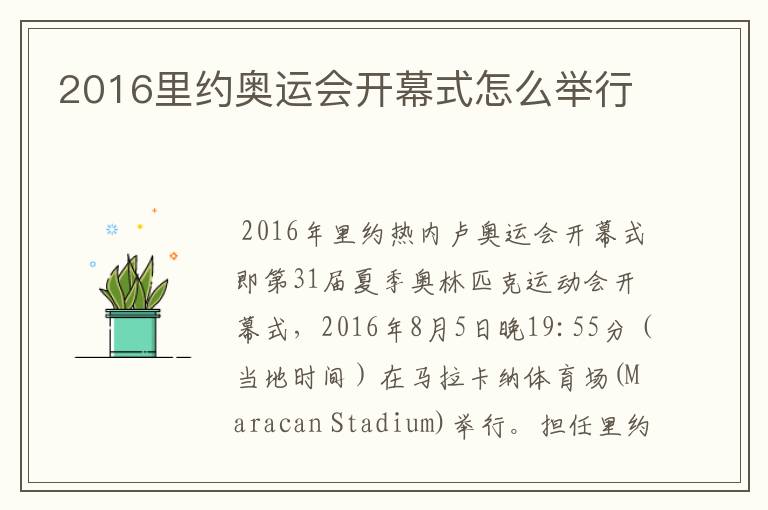 2016里约奥运会开幕式怎么举行