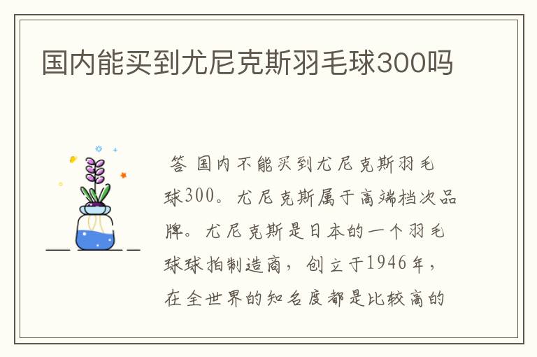 国内能买到尤尼克斯羽毛球300吗