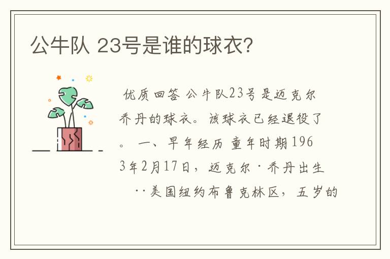 公牛队 23号是谁的球衣？