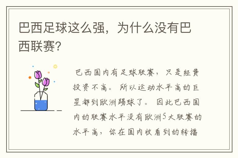 巴西足球这么强，为什么没有巴西联赛？