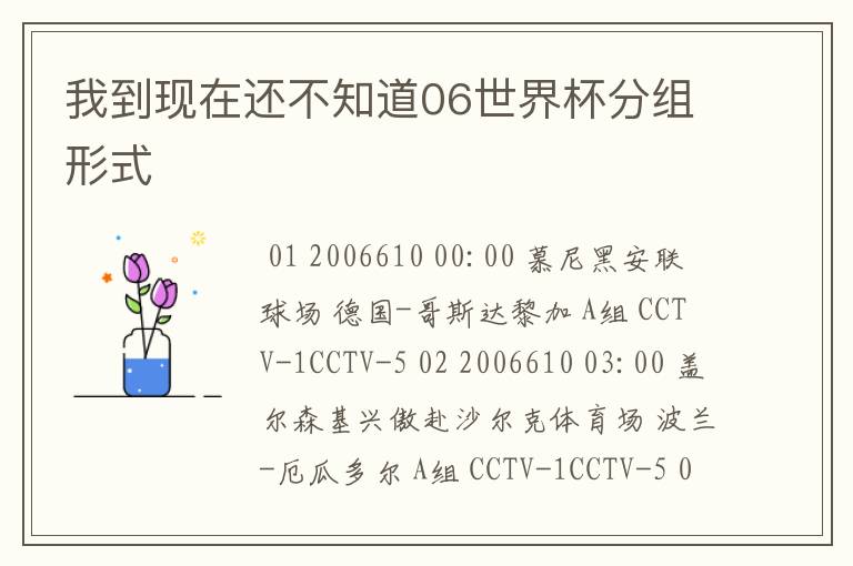 我到现在还不知道06世界杯分组形式