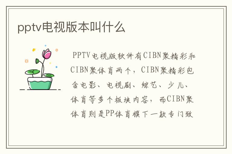 pptv电视版本叫什么