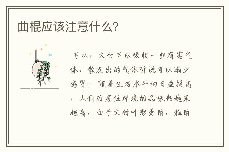 曲棍应该注意什么？