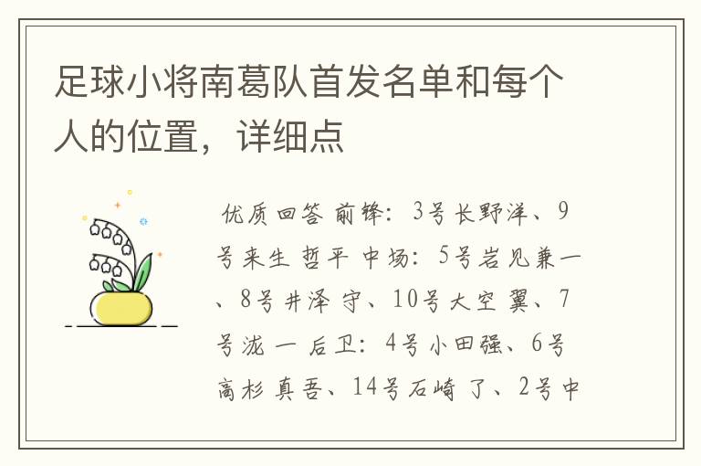 足球小将南葛队首发名单和每个人的位置，详细点