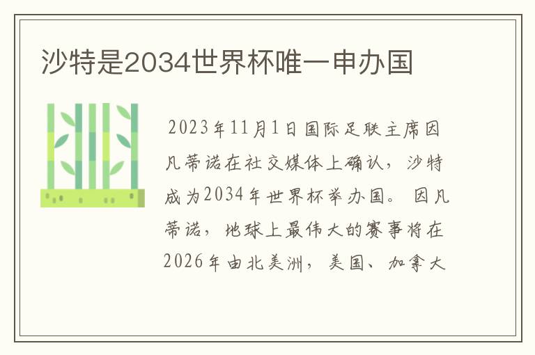 沙特是2034世界杯唯一申办国