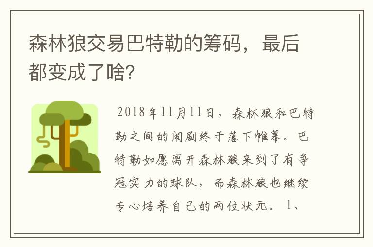 森林狼交易巴特勒的筹码，最后都变成了啥？