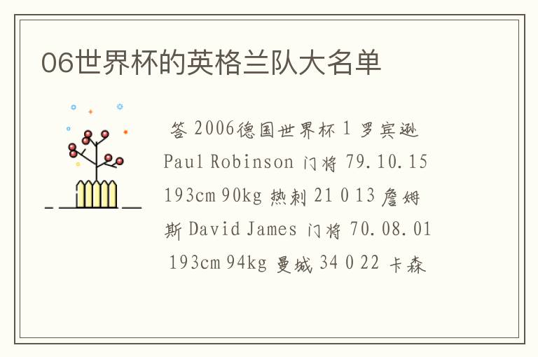 06世界杯的英格兰队大名单