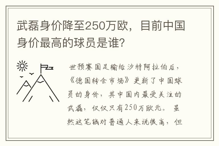 武磊身价降至250万欧，目前中国身价最高的球员是谁？