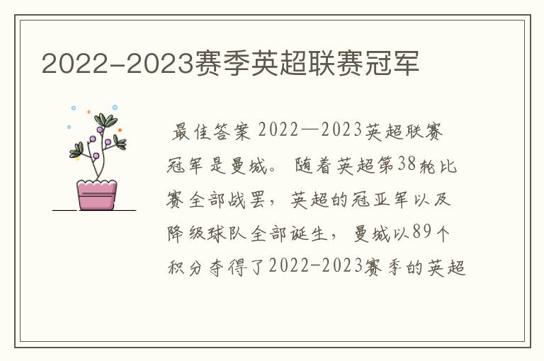 2022-2023赛季英超联赛冠军