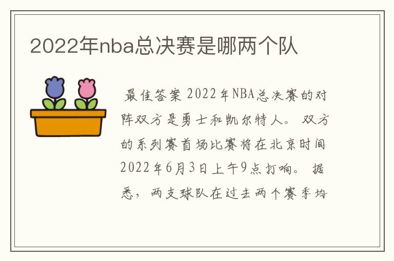 2022年nba总决赛是哪两个队