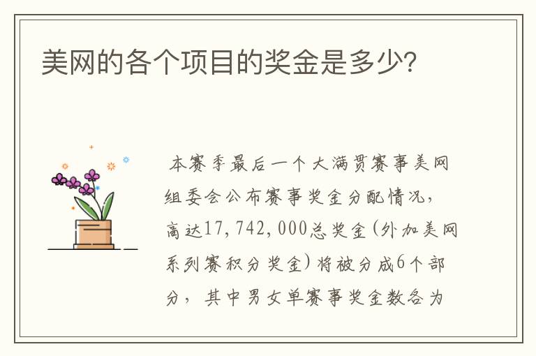 美网的各个项目的奖金是多少？