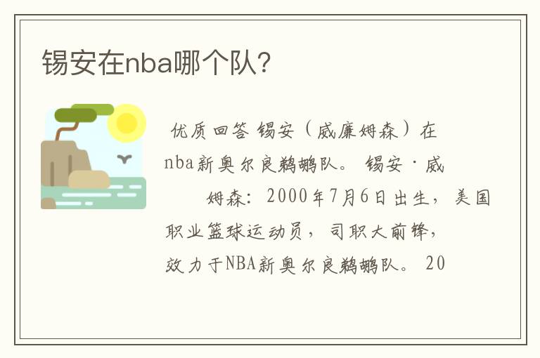 锡安在nba哪个队？