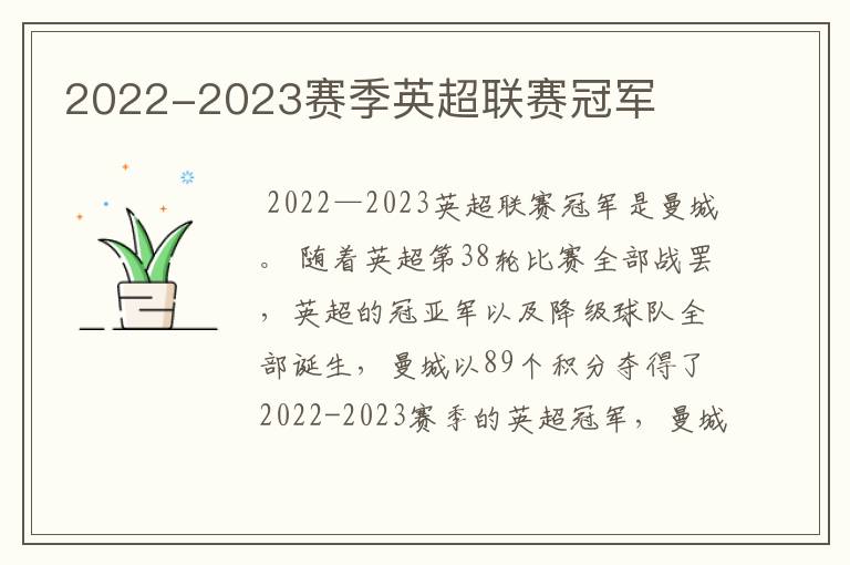 2022-2023赛季英超联赛冠军