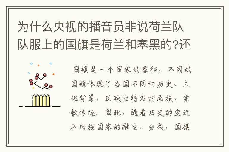 为什么央视的播音员非说荷兰队队服上的国旗是荷兰和塞黑的?还说是为了尊敬对手。