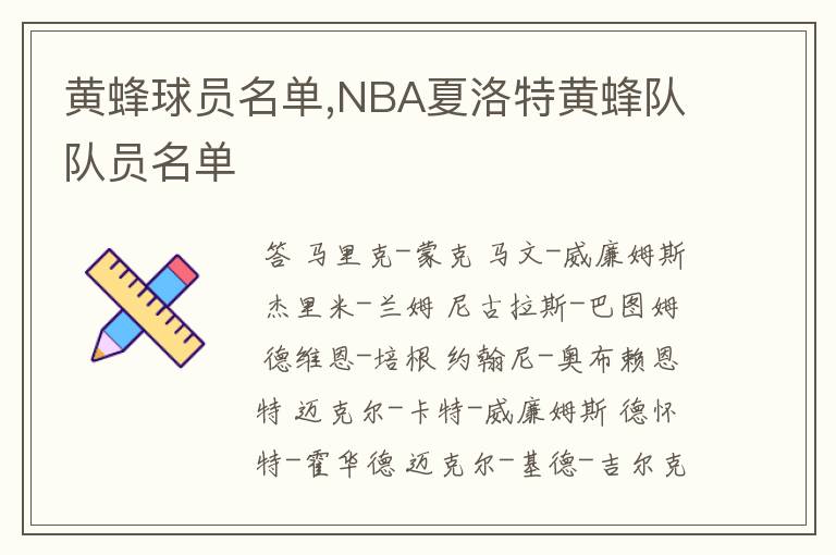 黄蜂球员名单,NBA夏洛特黄蜂队队员名单