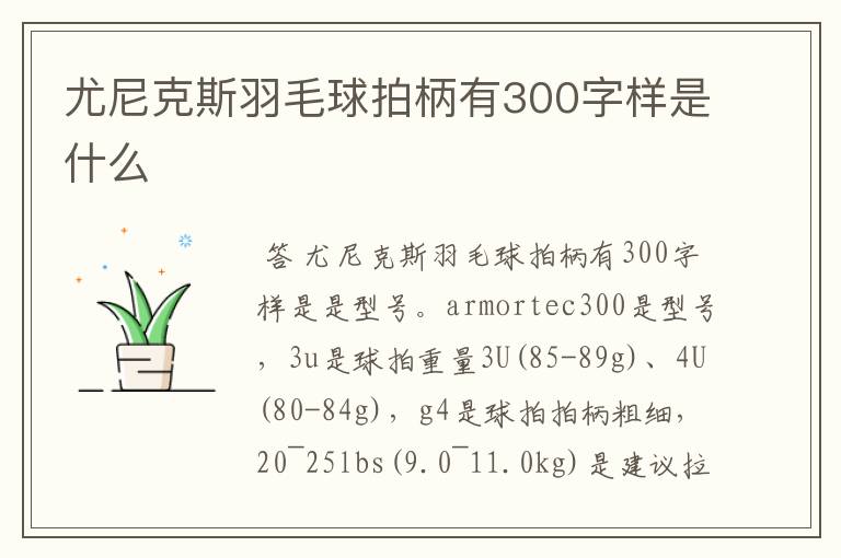 尤尼克斯羽毛球拍柄有300字样是什么