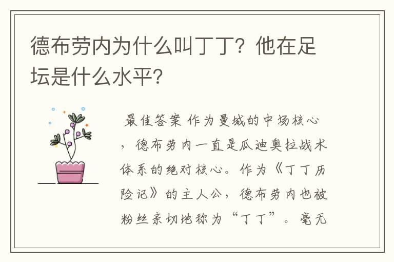 德布劳内为什么叫丁丁？他在足坛是什么水平？