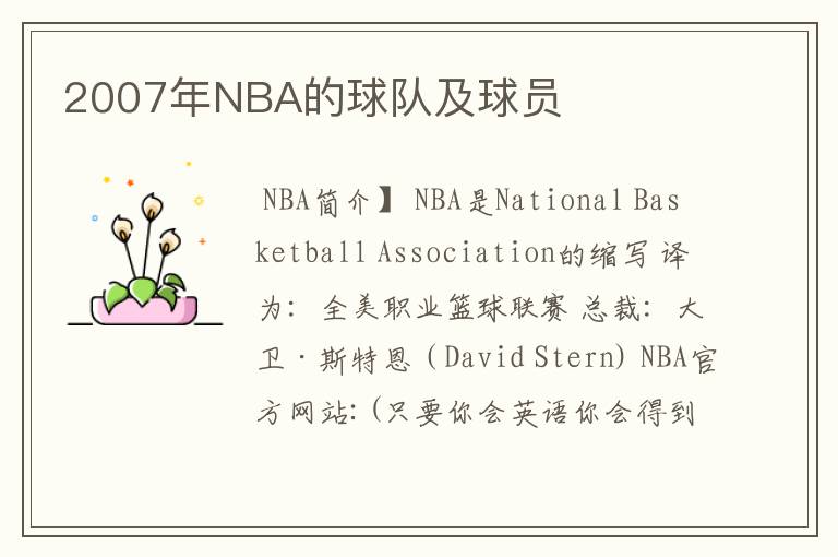 2007年NBA的球队及球员