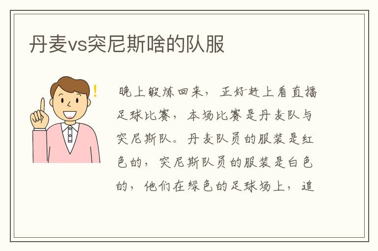 丹麦vs突尼斯啥的队服